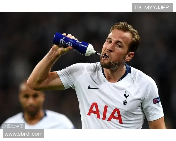 加的夫与热刺的冷热指数分析及比赛前瞻探讨 加的夫与热刺的冷热指数分析及比赛前瞻探讨