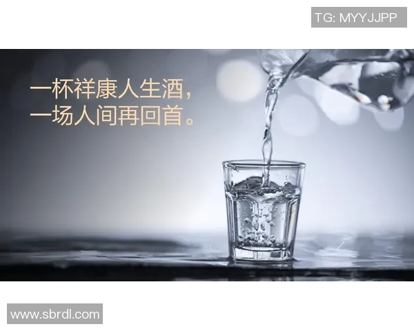 史鸿飞的传奇人生与创新之路探索与启示 史鸿飞的传奇人生与创新之路探索与启示