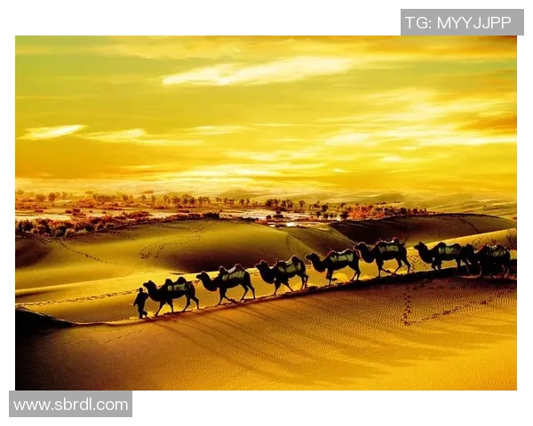 崔永熙：在时代变迁中探索文化传承与创新的艺术之路