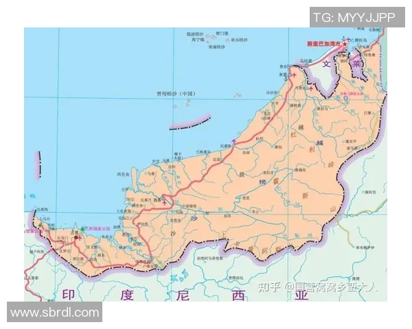 马来西亚与新加坡足球对抗赛回顾与展望分析