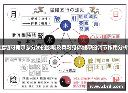 运动对荷尔蒙分泌的影响及其对身体健康的调节作用分析