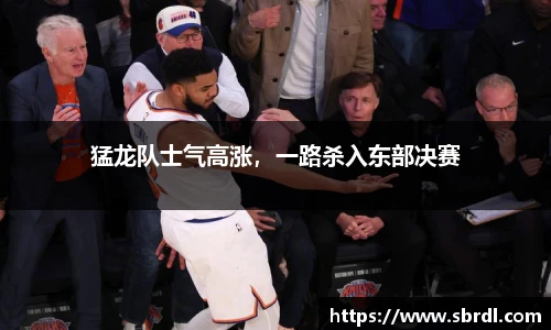 猛龙队士气高涨，一路杀入东部决赛
